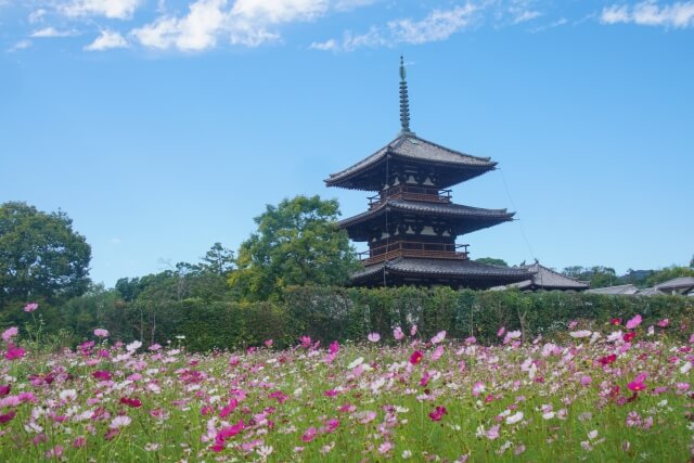 Horyuji-Temple