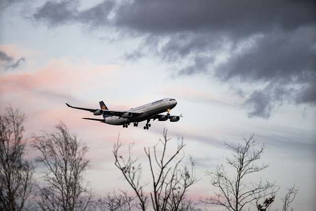travel