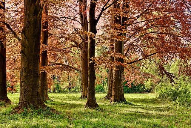 nature