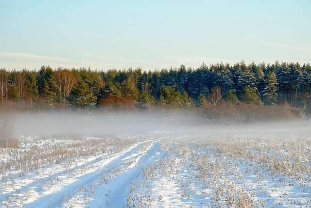 landscape