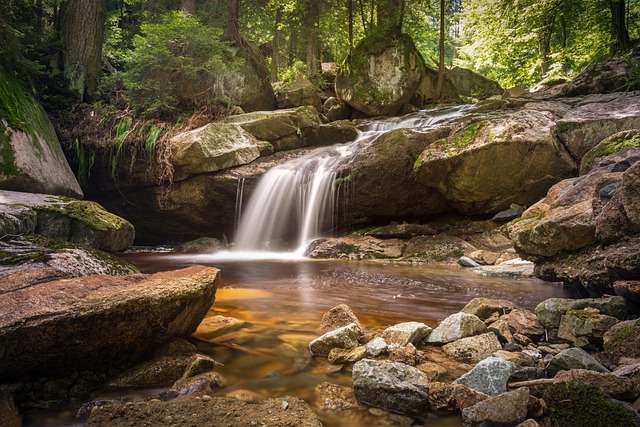 nature