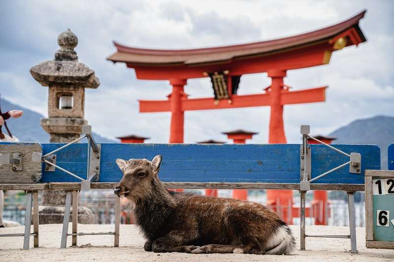 厳島神社