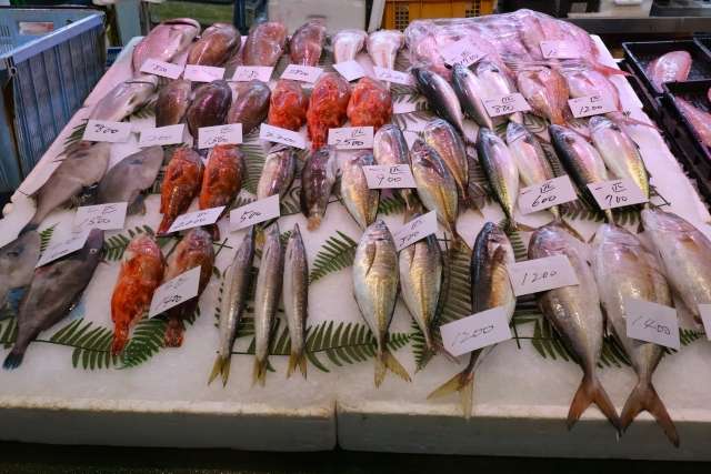 魚