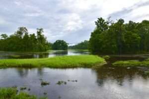 【ネパール世界遺産】ロイヤル・チトワン国立公園