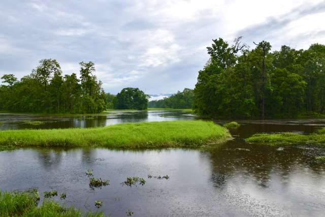 【ネパール世界遺産】ロイヤル・チトワン国立公園