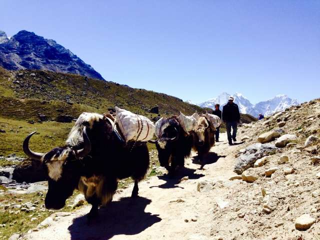 【ネパール世界遺産】サガルマータ国立公園（エベレスト）