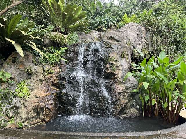 【世界遺産】シンガポール植物園　ボタニック・ガーデン