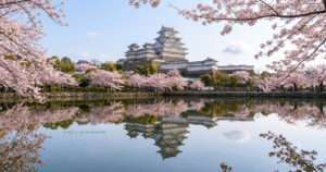 三国堀の水面に鏡のように美しく映る、満開の桜と世界遺産・姫路城の逆さ白鷺城