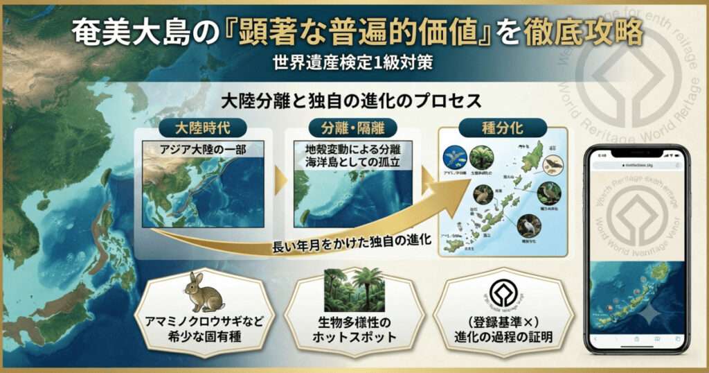 アジア大陸からの分離による地理的隔離と、それに伴うアマミノクロウサギなどの独自の種分化のプロセスをまとめた世界遺産検定1級対策用の図解。