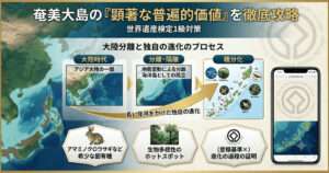 アジア大陸からの分離による地理的隔離と、それに伴うアマミノクロウサギなどの独自の種分化のプロセスをまとめた世界遺産検定1級対策用の図解。