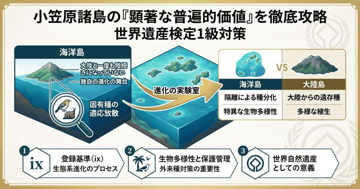 小笠原諸島の進化プロセスと試験対策ポイント