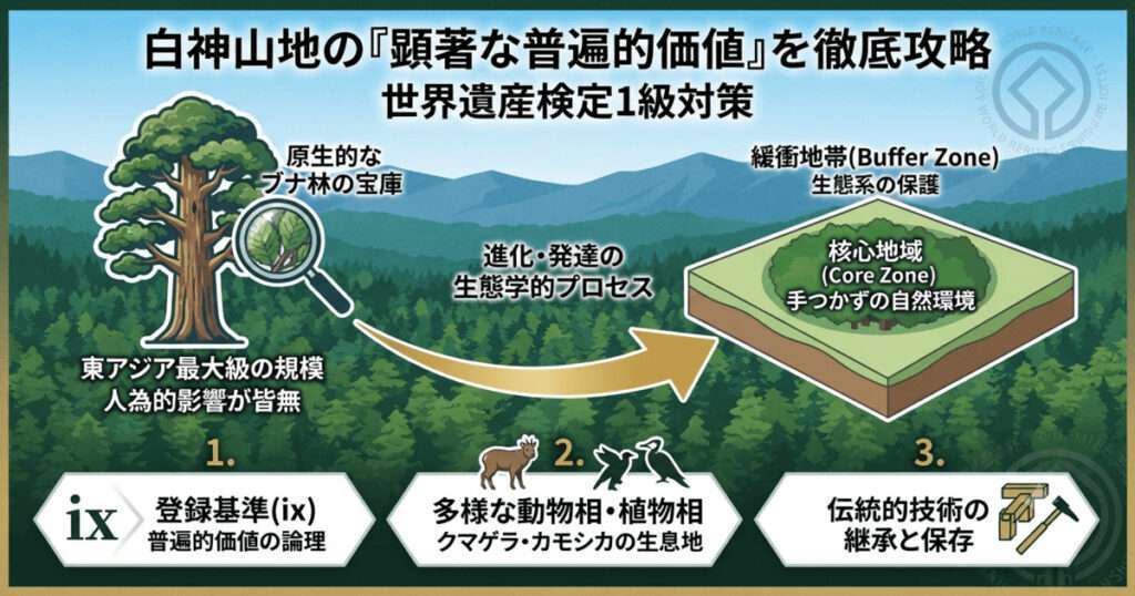 白神山地の顕著な普遍的価値と世界遺産検定1級対策の解説図。原生的なブナ林、東アジア最大級の規模、核心地域と緩衝地帯の構造、および登録基準(ix)を図解。