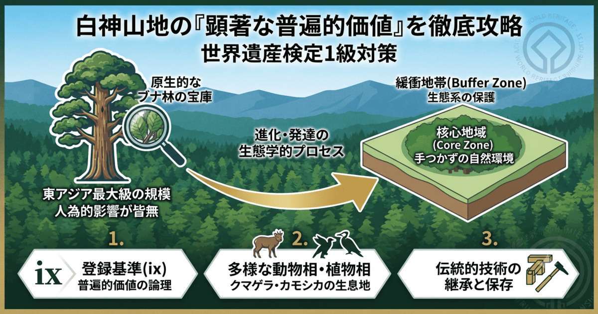 白神山地の顕著な普遍的価値と世界遺産検定1級対策の解説図。原生的なブナ林、東アジア最大級の規模、核心地域と緩衝地帯の構造、および登録基準(ix)を図解。