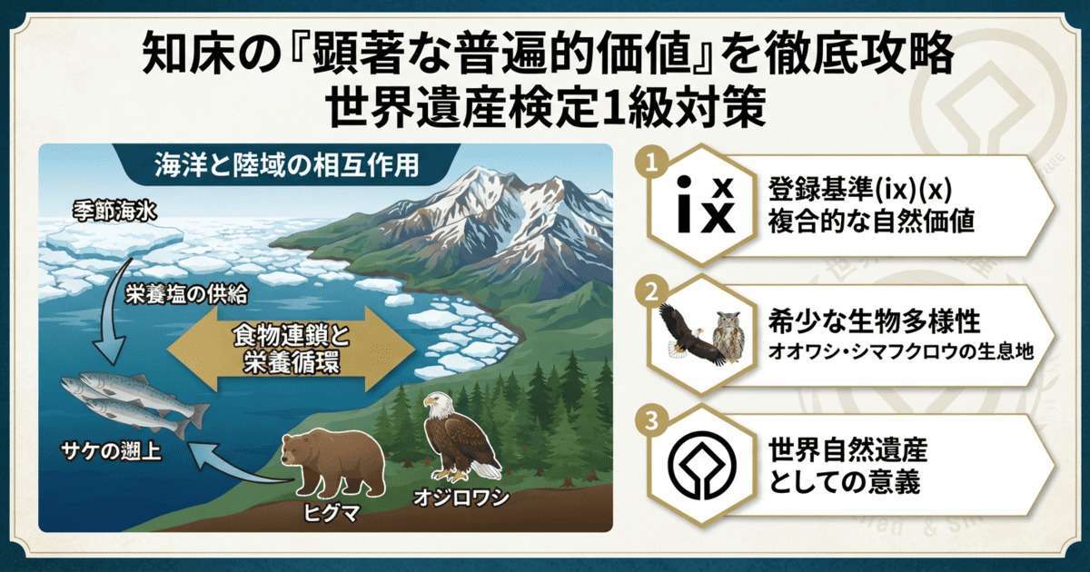 知床の顕著な普遍的価値と世界遺産検定1級対策の解説図。季節海氷、栄養塩の供給、サケの遡上、ヒグマやオジロワシの食物連鎖、および登録基準(ix)(x)の複合的価値を図解。