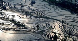 紅河ハニ棚田群の文化的景観の写真