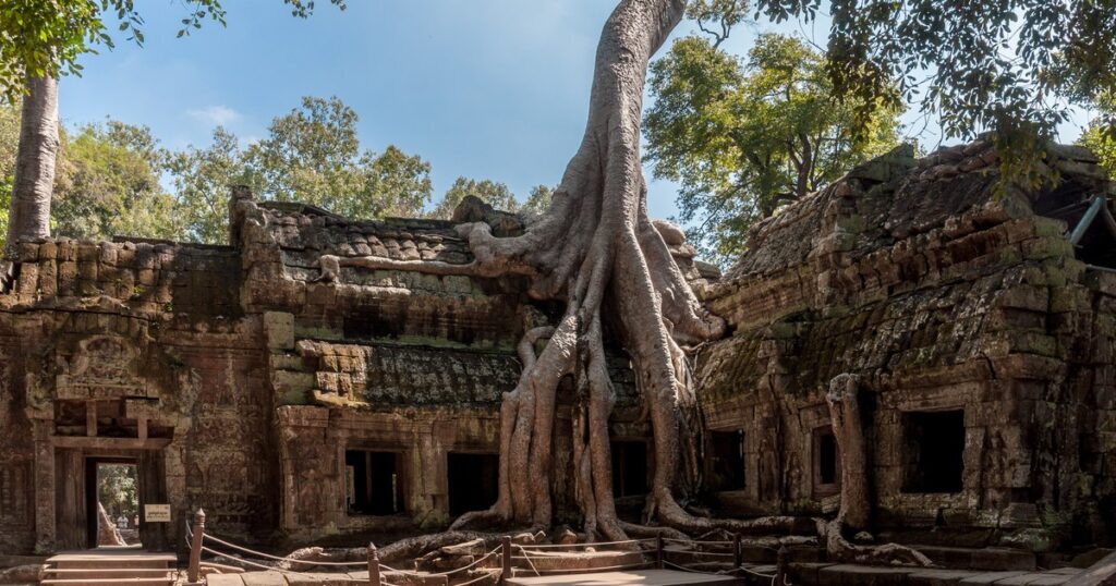 カンボジア・アンコールのタ・プローム寺院